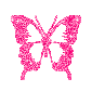 :Butterfly8: